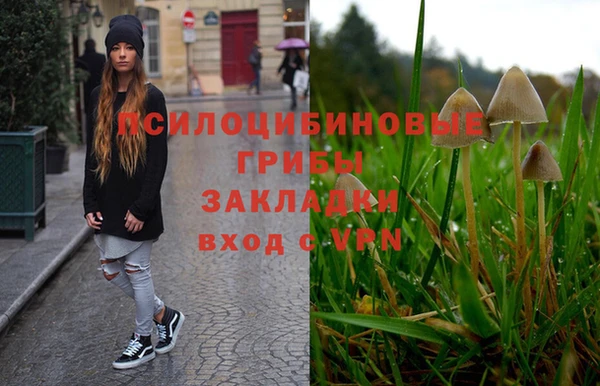 трава Армянск