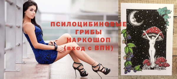 дурь Арсеньев