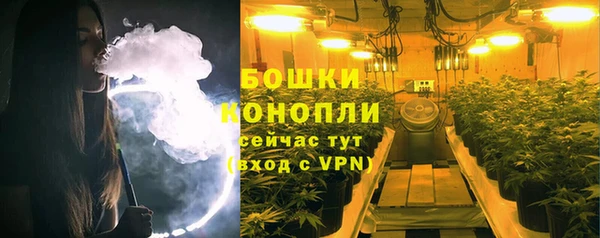 дурь Аркадак